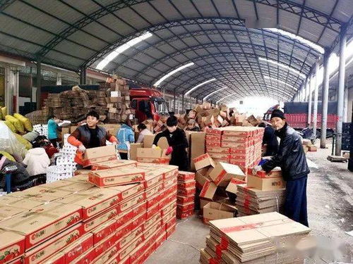 小小水果泡沫托，輕盈承載脫貧夢——探索初級農產品網絡銷售新路徑