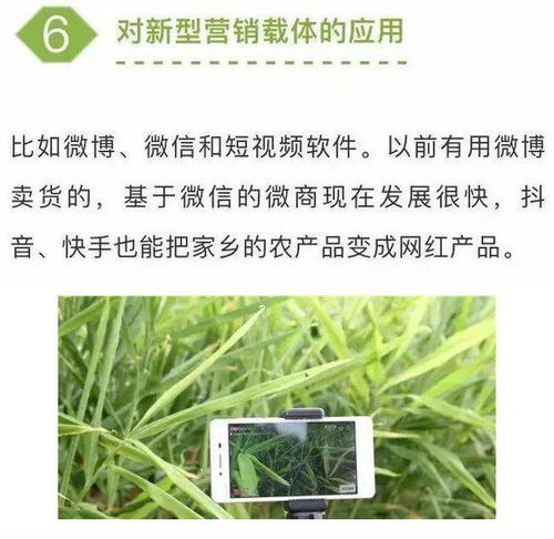 農(nóng)業(yè)七大新型營銷模式，學會一個家禽銷售就能賺不少