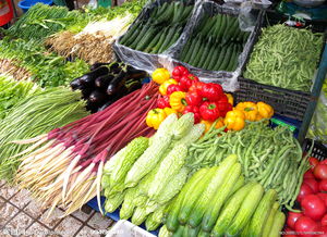 青島氣溫升高菜價持續回落，家禽供應平穩價格企穩